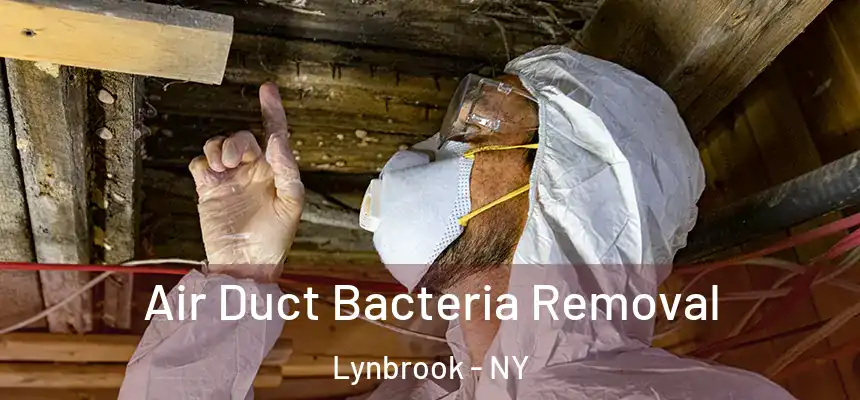  Air Duct Bacteria Removal Lynbrook - NY