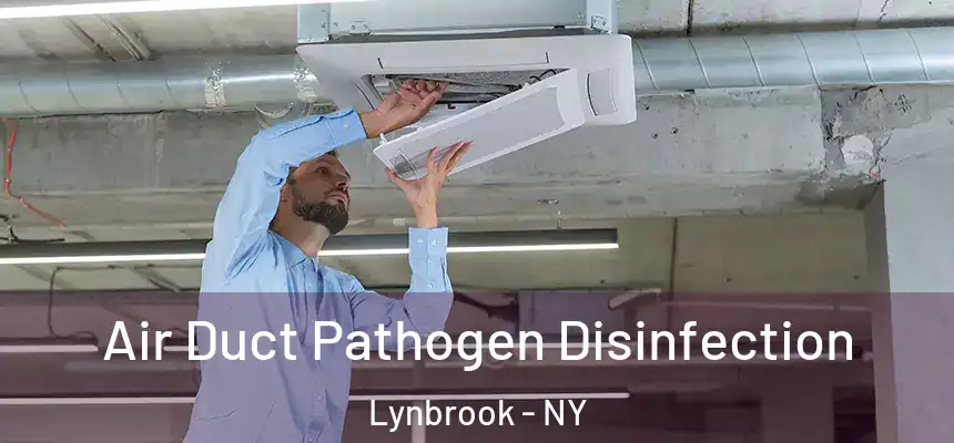 Air Duct Pathogen Disinfection Lynbrook - NY