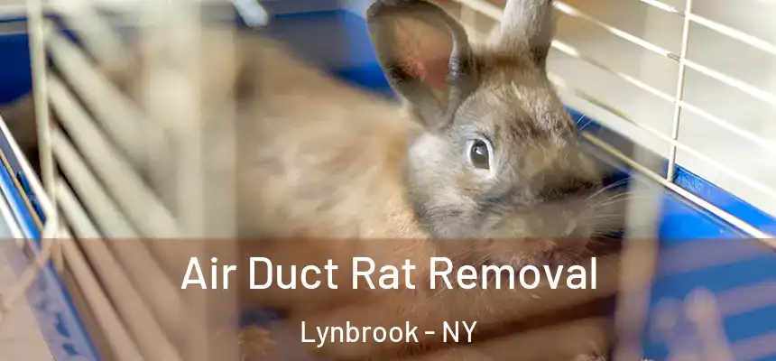 Air Duct Rat Removal Lynbrook - NY
