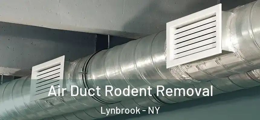 Air Duct Rodent Removal Lynbrook - NY