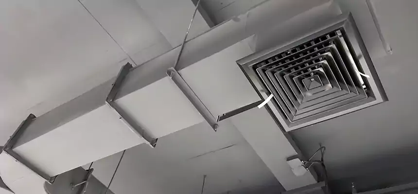 Restorative Allergy Relief Vent Cleaning – Coil, Blower & Housing Detail in Lynbrook