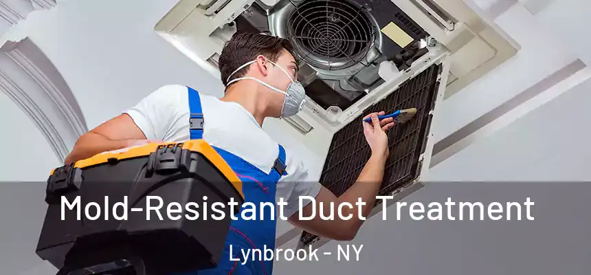 Mold-Resistant Duct Treatment Lynbrook - NY