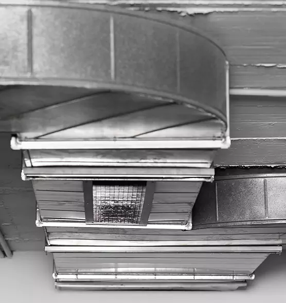 Professional Air Duct Pest Removal in Lynbrook, NY