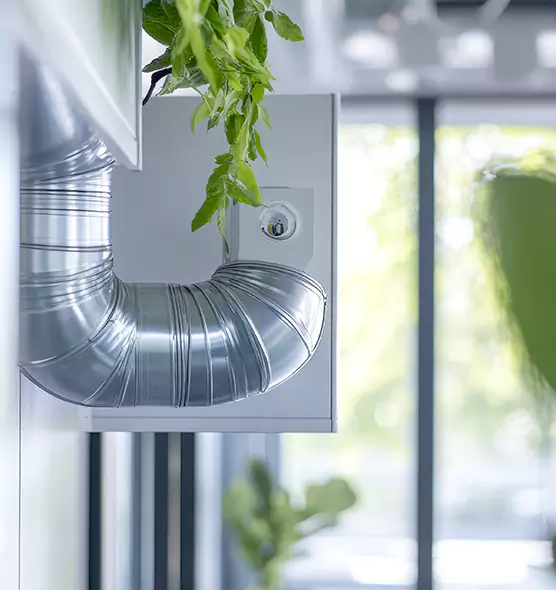 Professional Eco-Safe Dryer Vent Cleaning in Lynbrook, NY