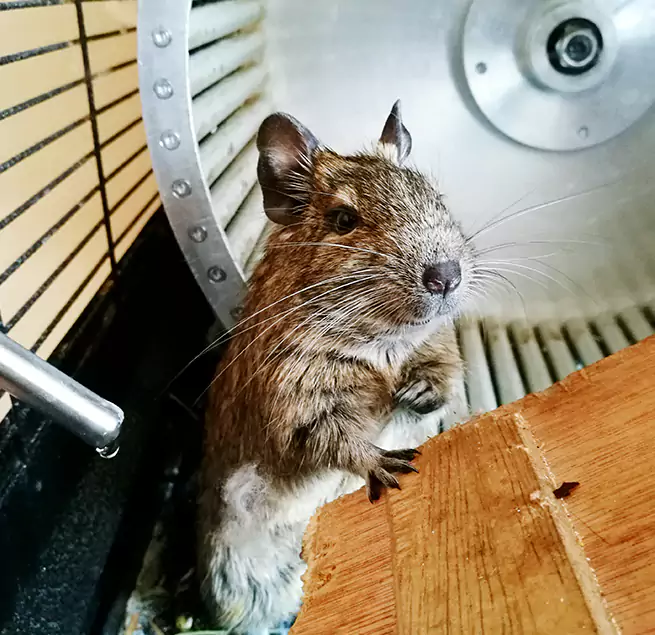 Why Homeowners & Businesses Trust Us Lynbrook, NY