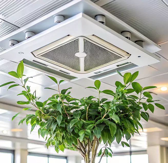 Why Homeowners & Businesses Trust Us in Lynbrook, NY?